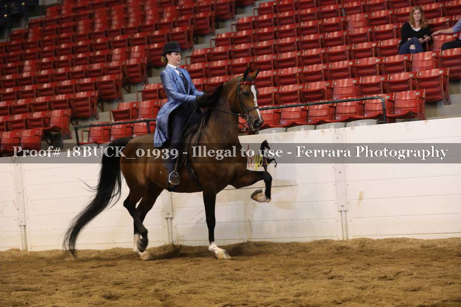 Proof 18BUCK_01939