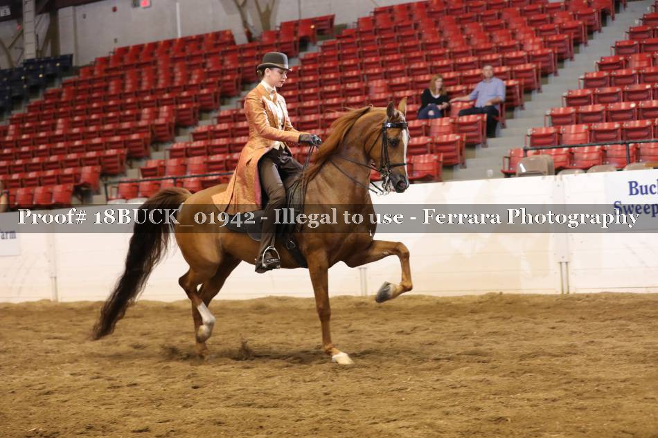 Proof 18BUCK_01942