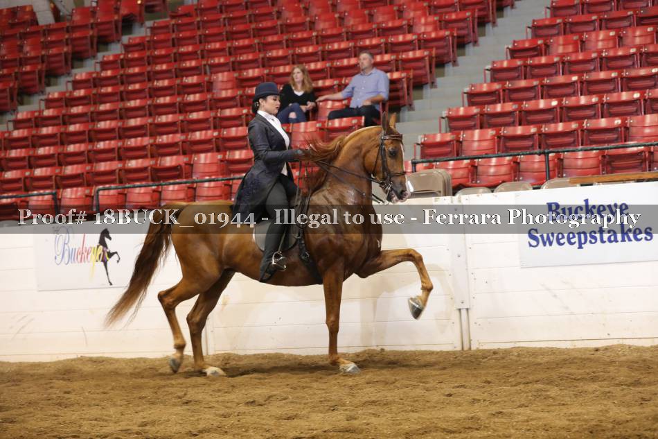 Proof 18BUCK_01944