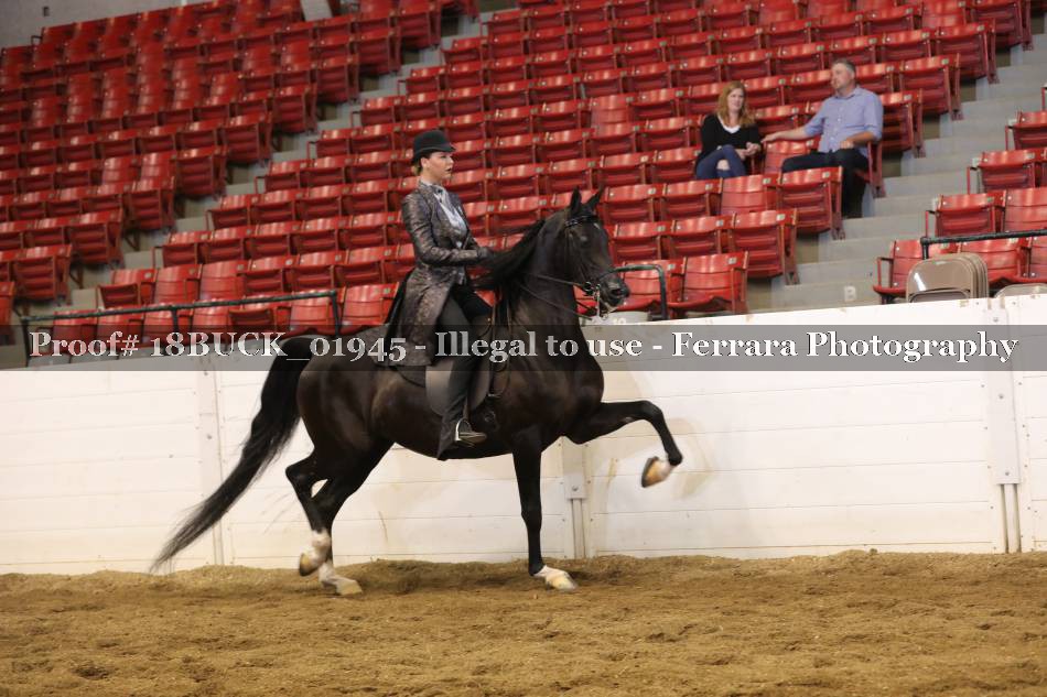 Proof 18BUCK_01945