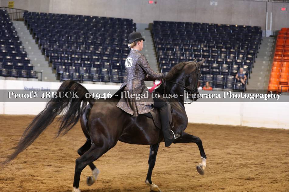 Proof 18BUCK_01946
