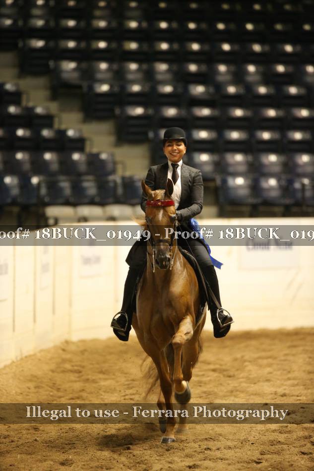 Proof 18BUCK_01949
