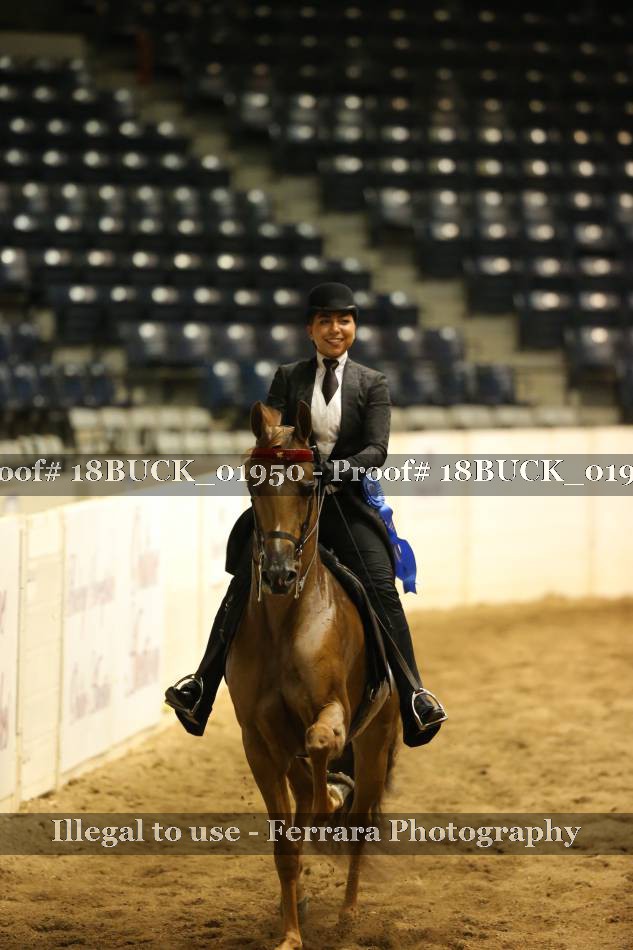 Proof 18BUCK_01950