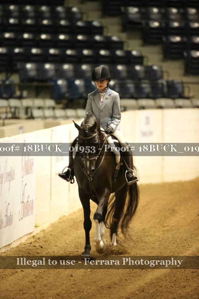 Proof 18BUCK_01953