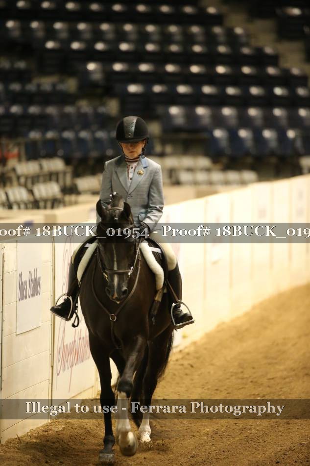 Proof 18BUCK_01954