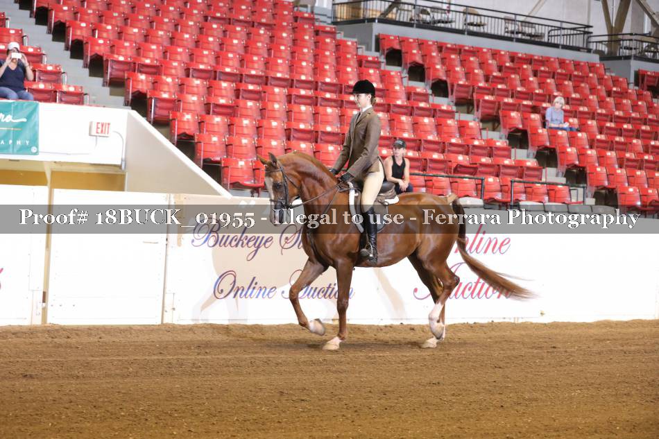 Proof 18BUCK_01955