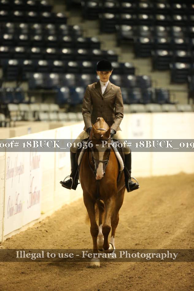 Proof 18BUCK_01956