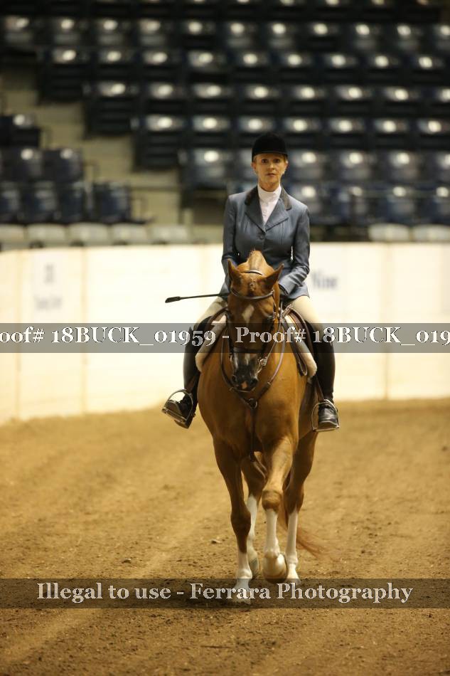 Proof 18BUCK_01959
