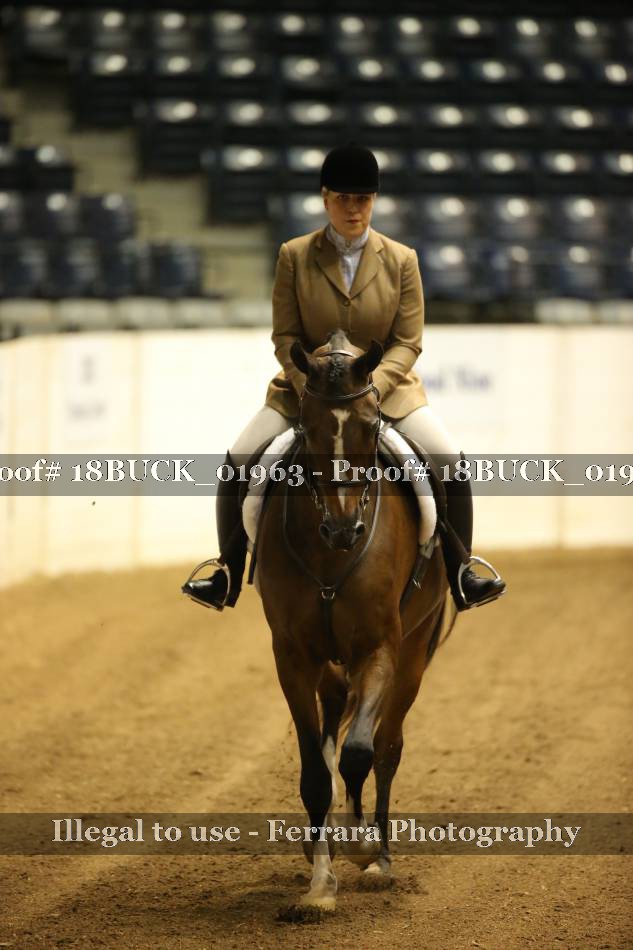 Proof 18BUCK_01963