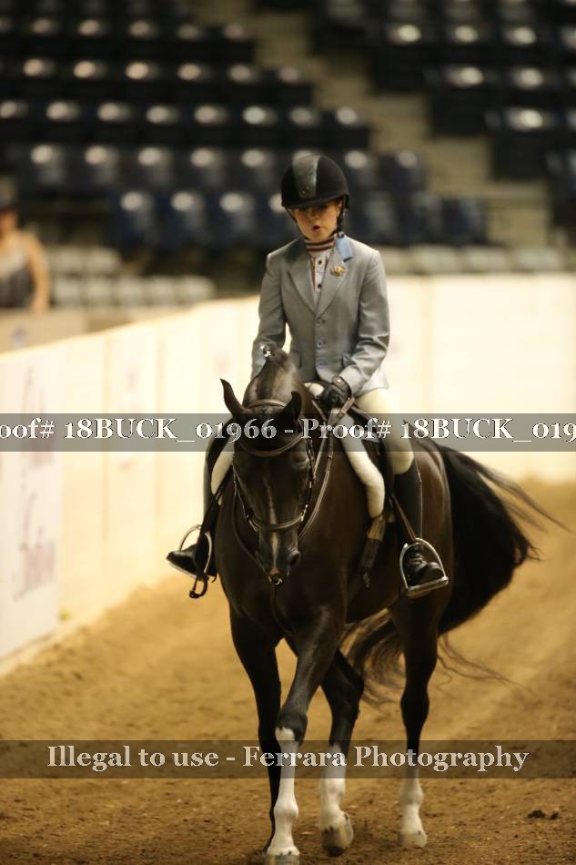 Proof 18BUCK_01966