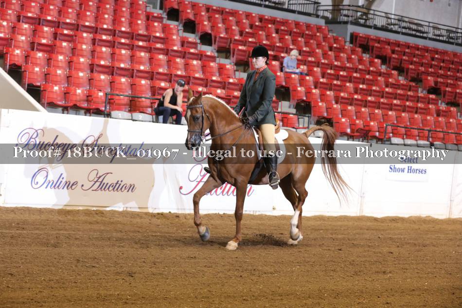 Proof 18BUCK_01967