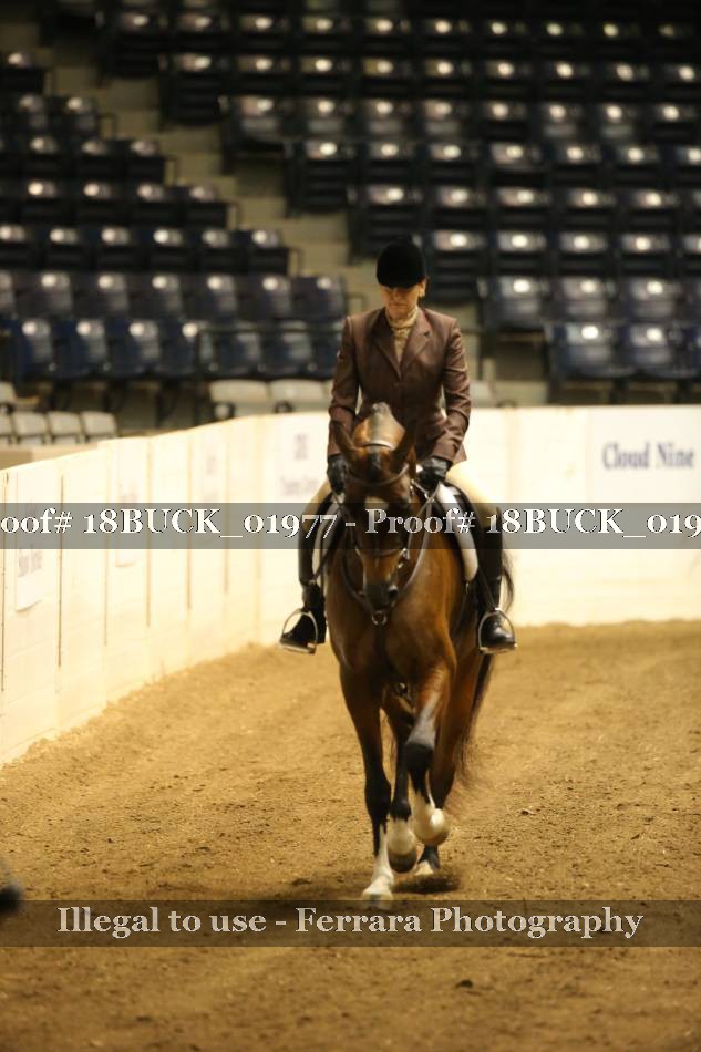Proof 18BUCK_01977
