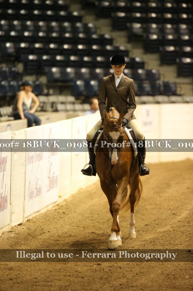 Proof 18BUCK_01981
