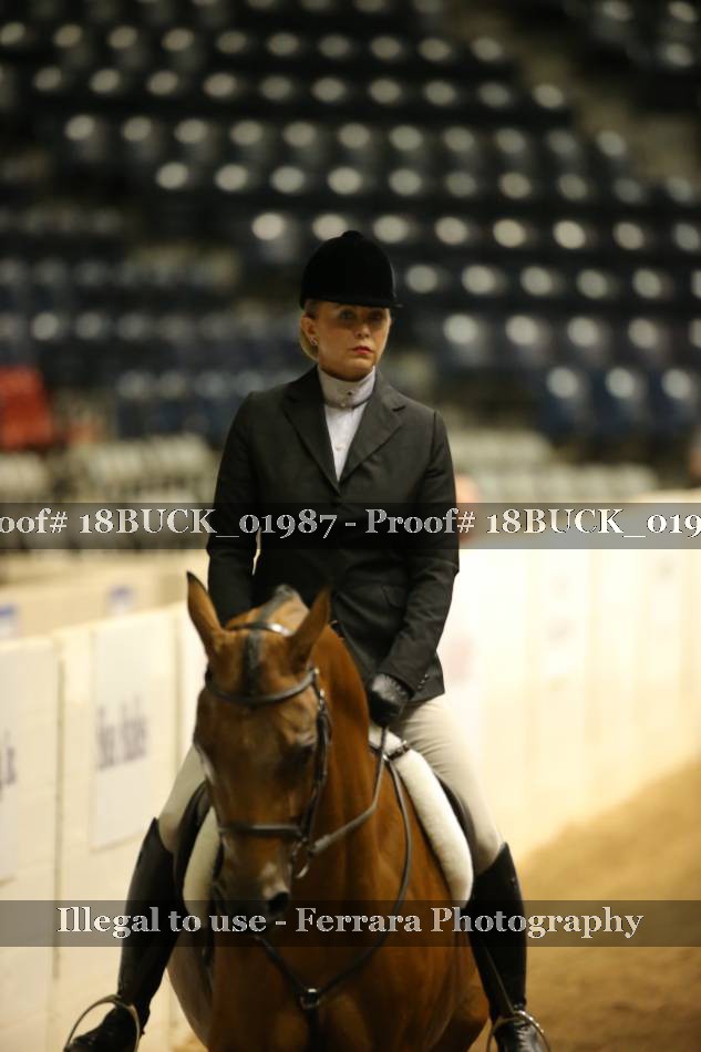 Proof 18BUCK_01987