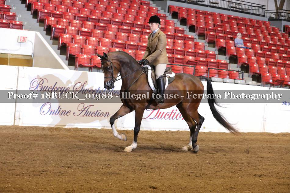 Proof 18BUCK_01988