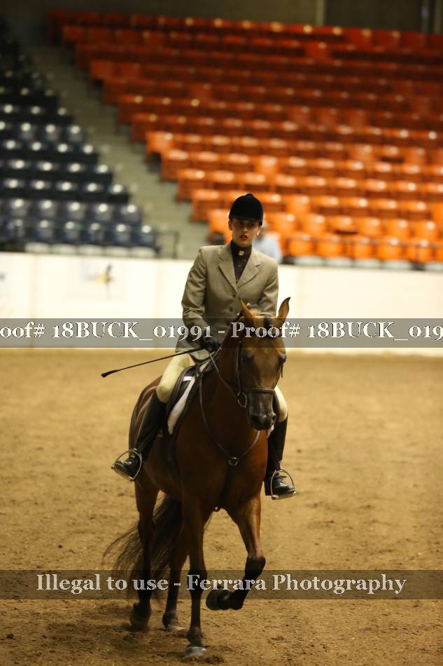 Proof 18BUCK_01991