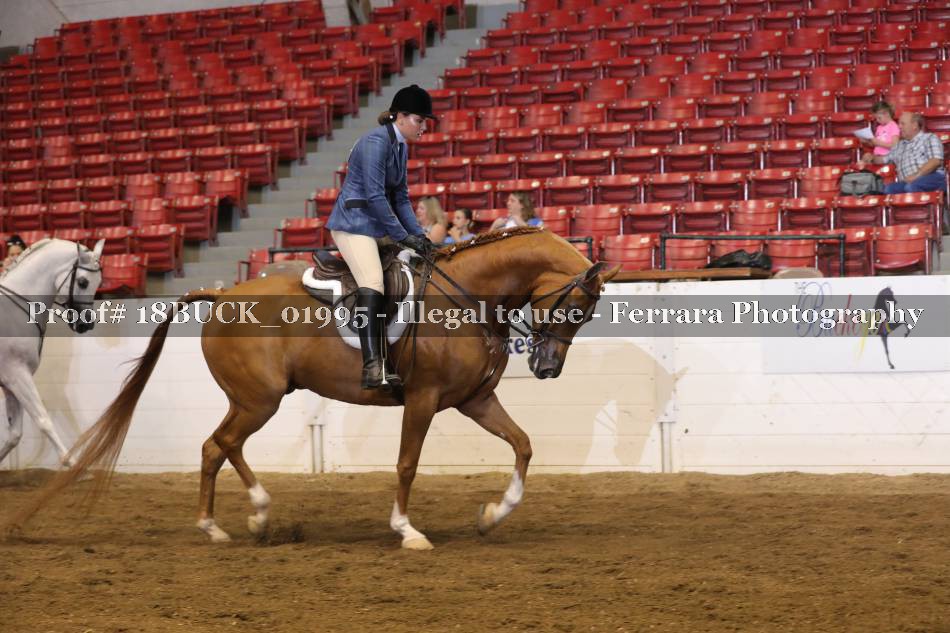 Proof 18BUCK_01995