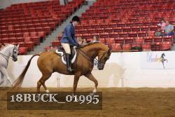 18BUCK_01995 proof