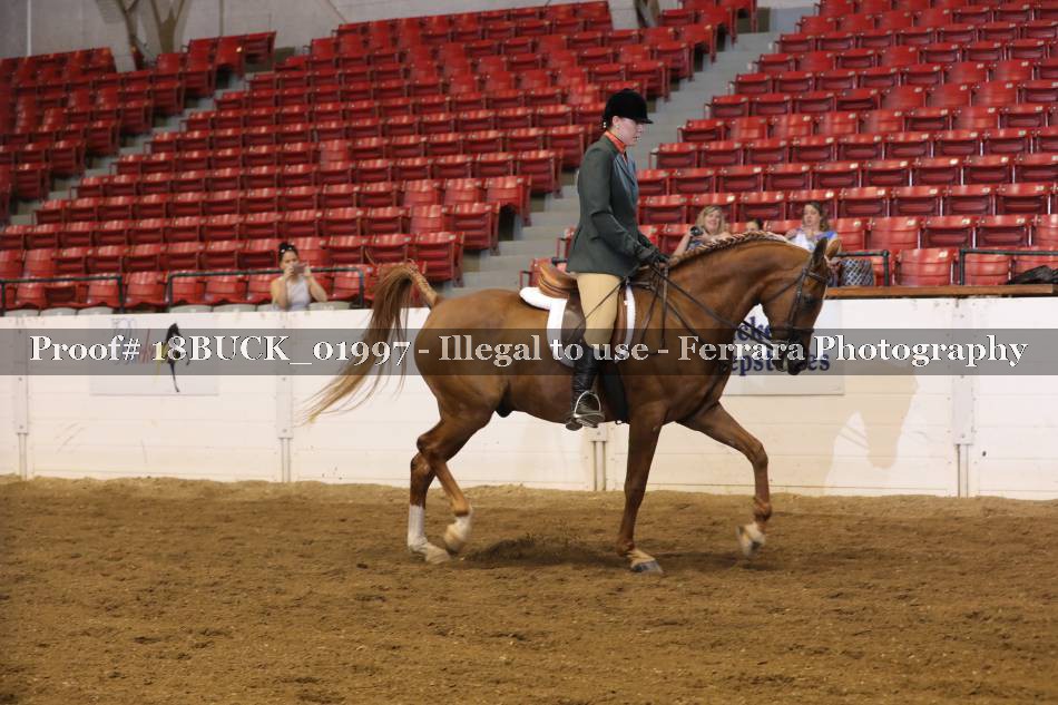 Proof 18BUCK_01997
