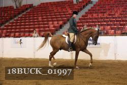 18BUCK_01997 proof
