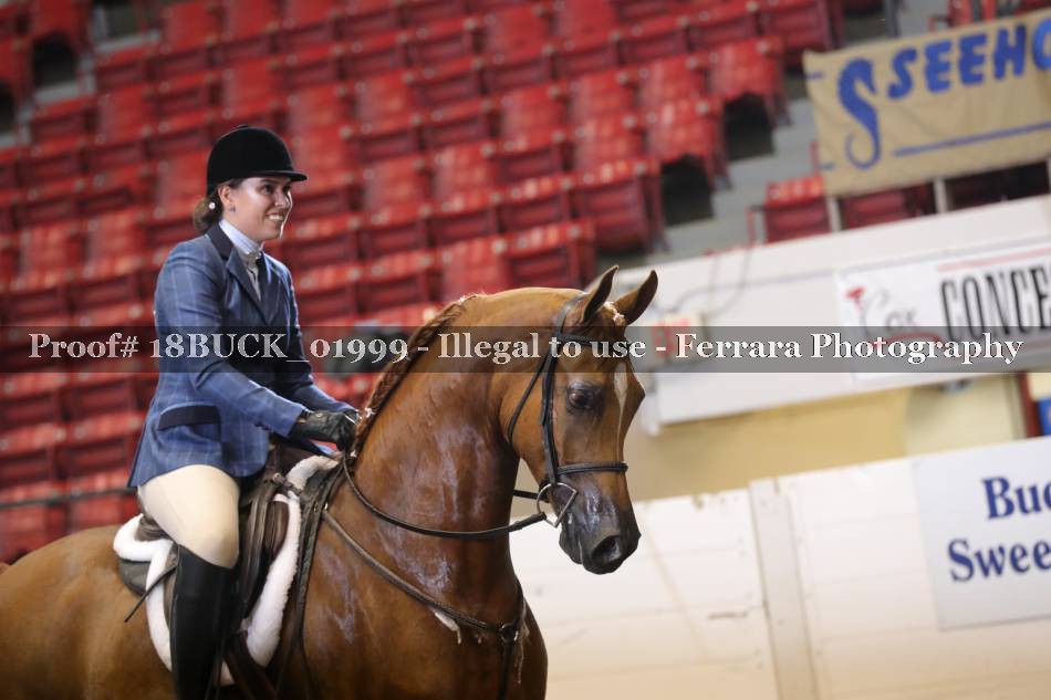 Proof 18BUCK_01999