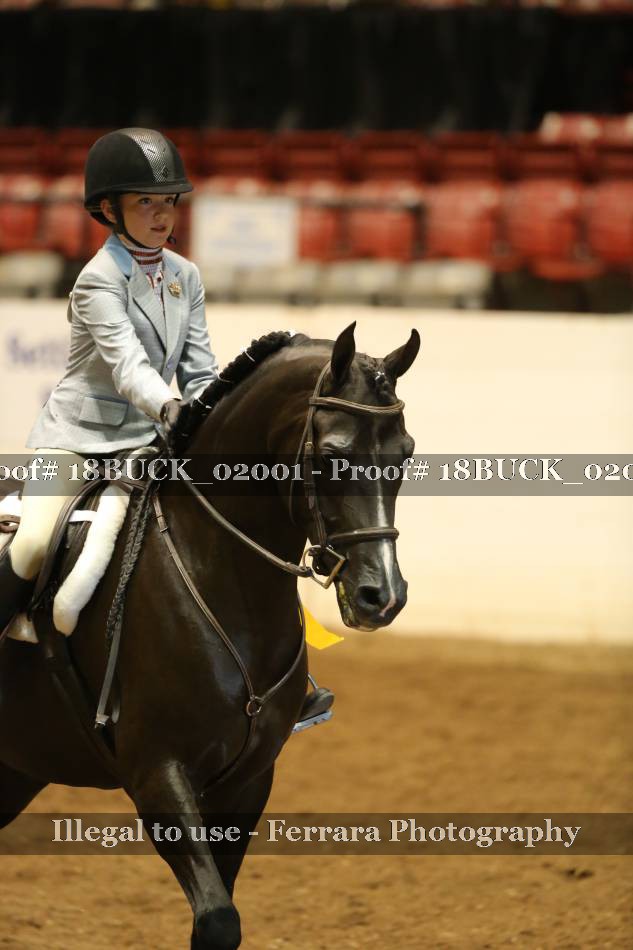 Proof 18BUCK_02001
