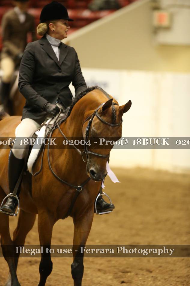 Proof 18BUCK_02004