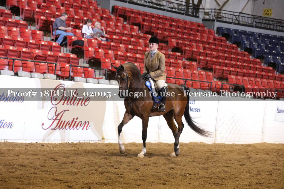 Proof 18BUCK_02005