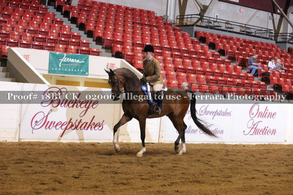 Proof 18BUCK_02006
