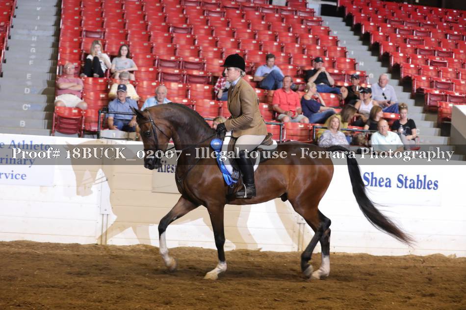 Proof 18BUCK_02007