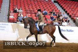 18BUCK_02007 proof