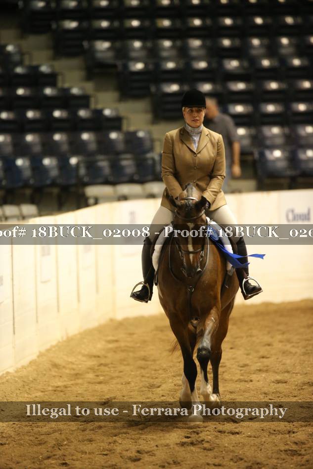 Proof 18BUCK_02008