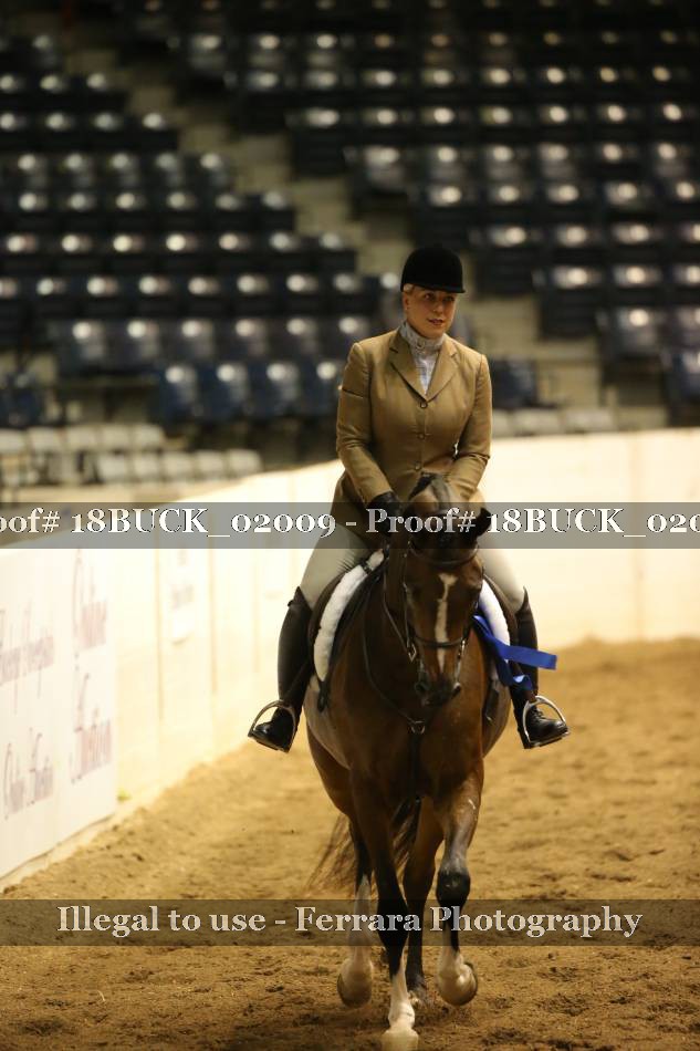 Proof 18BUCK_02009