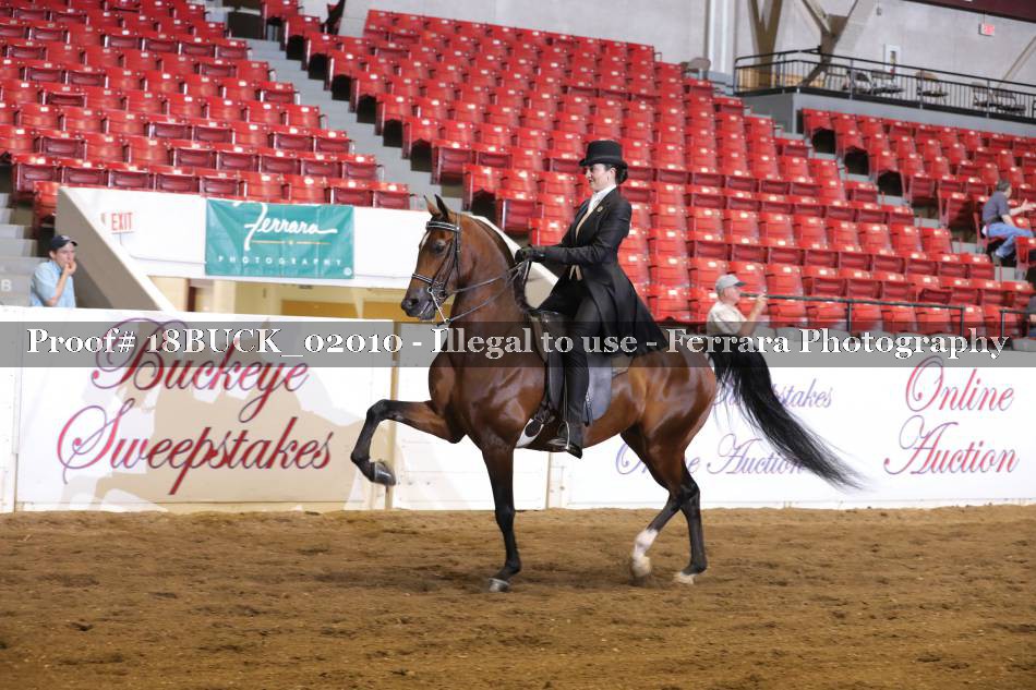Proof 18BUCK_02010
