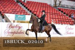 18BUCK_02010 proof