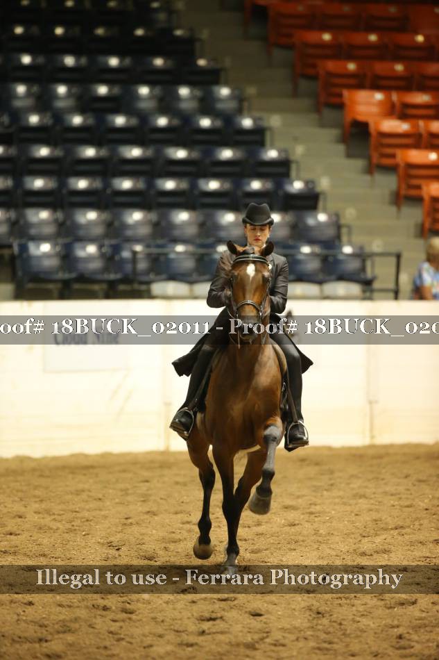 Proof 18BUCK_02011