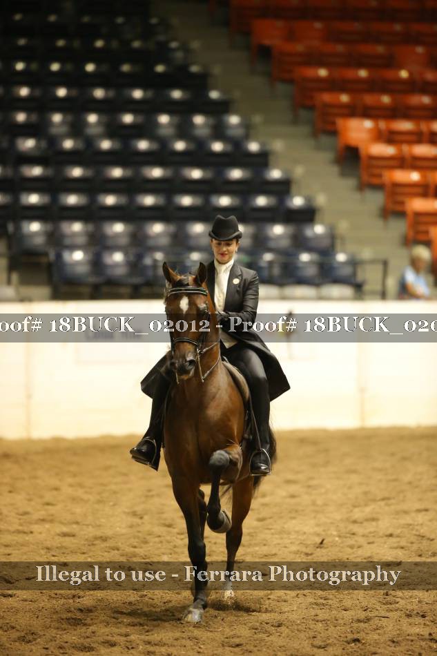 Proof 18BUCK_02012