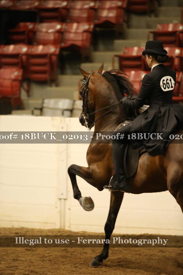Proof 18BUCK_02013