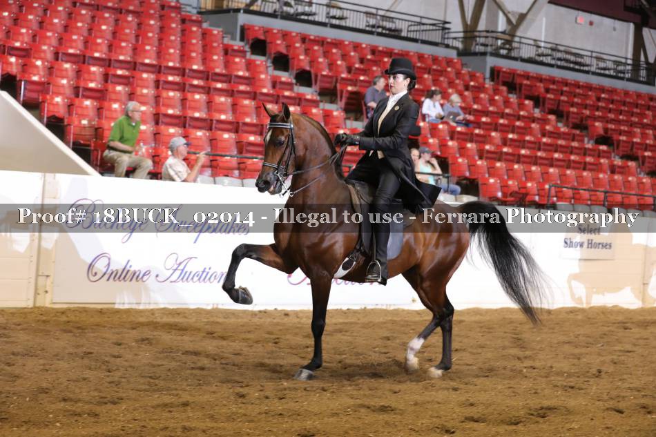 Proof 18BUCK_02014