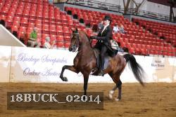 18BUCK_02014 proof
