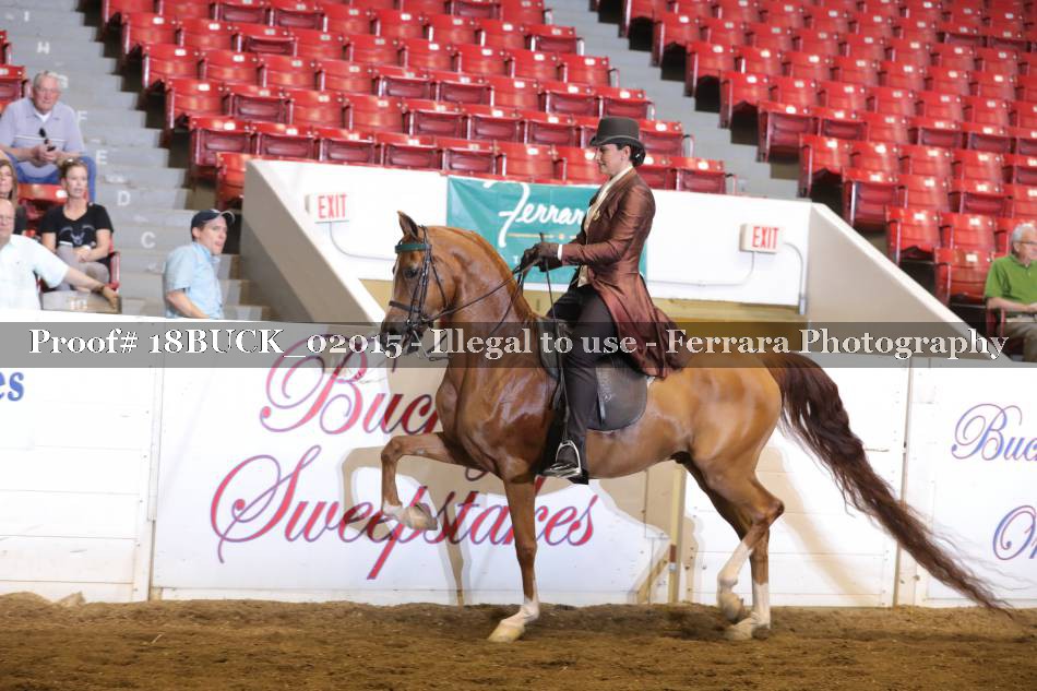 Proof 18BUCK_02015