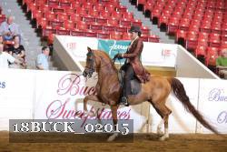 18BUCK_02015 proof