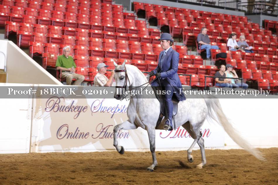 Proof 18BUCK_02016