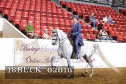 18BUCK_02016 proof