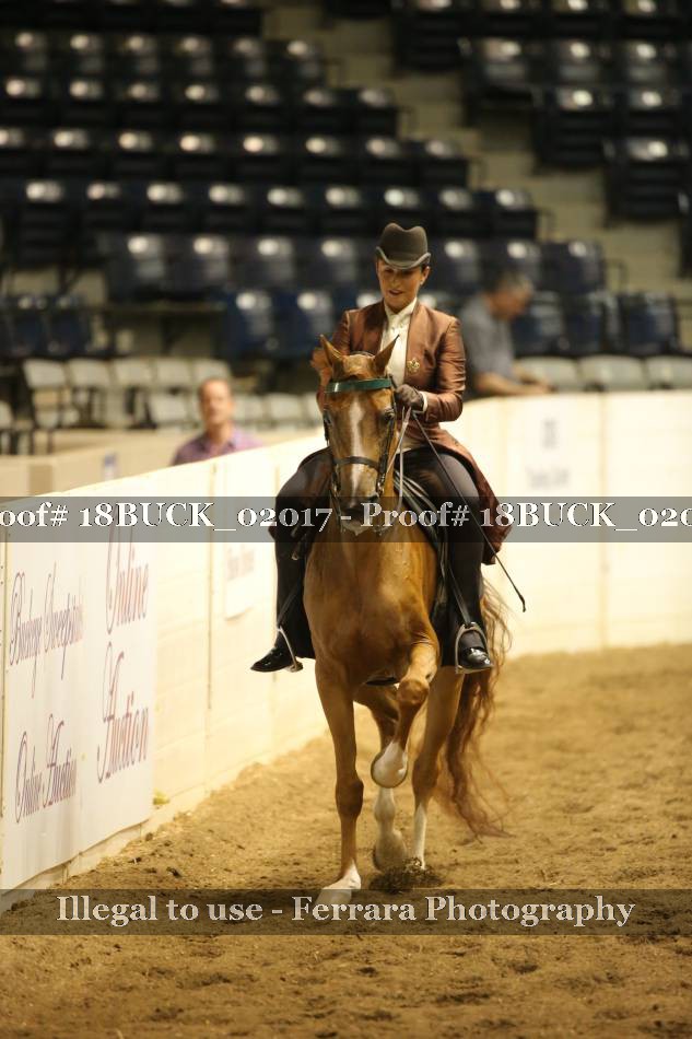 Proof 18BUCK_02017