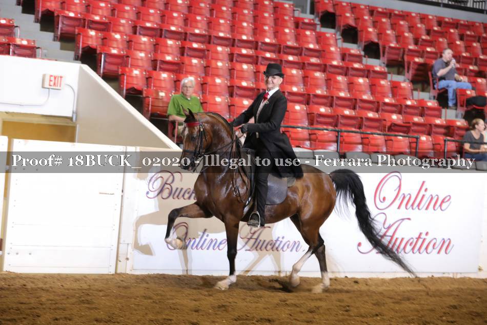 Proof 18BUCK_02020