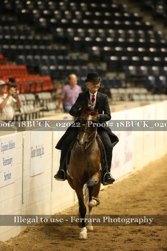 Proof 18BUCK_02022