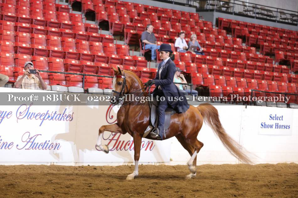 Proof 18BUCK_02023