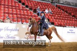 18BUCK_02023 proof