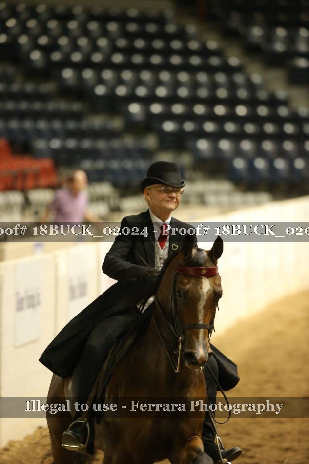 Proof 18BUCK_02024